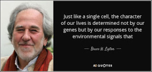 quote-just-like-a-single-cell-the-character-of-our-lives-is-determined-not-by-our-genes-but-bruce-h-lipton-75-2-0225